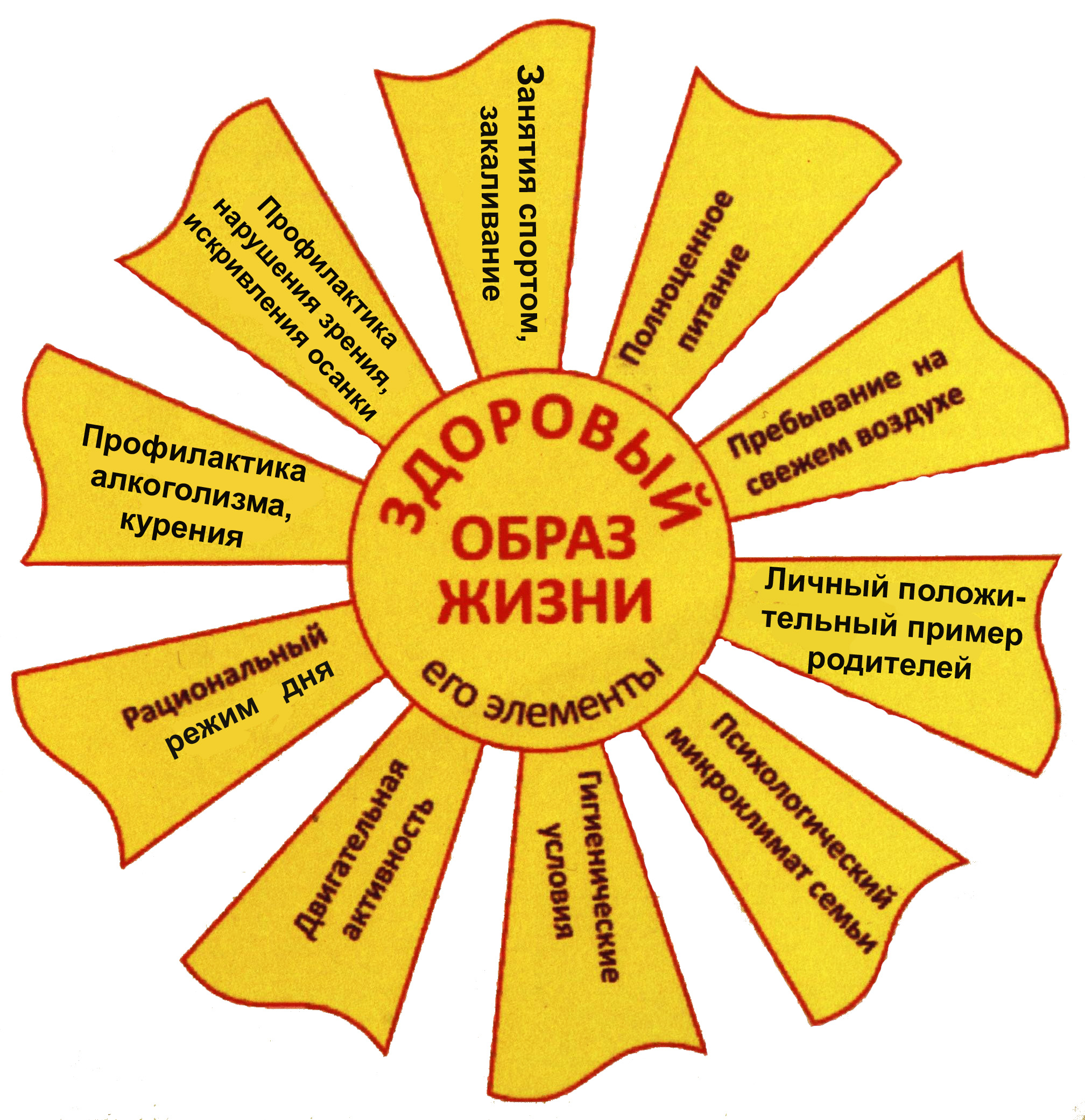 солнышко- здор образ жизни.jpg